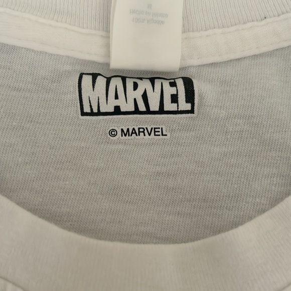 Marvel Holiday Spidey Gingerbread cookie Top - Picture 3 of 4